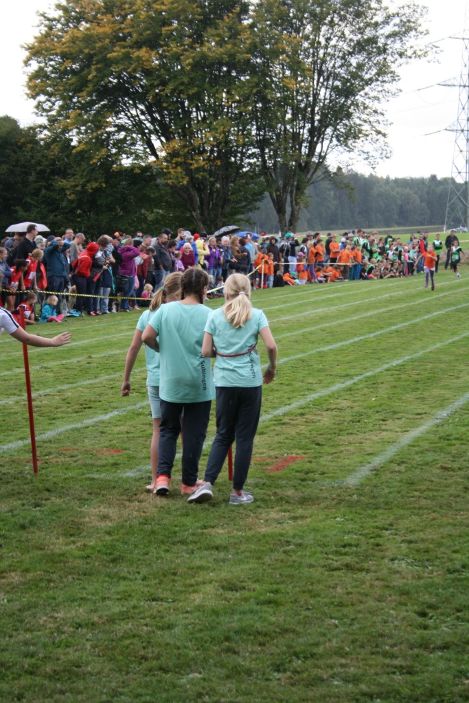 Bild 1 (134)